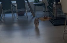 Video 06