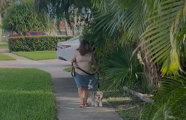 Video 07