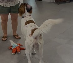 Video 08