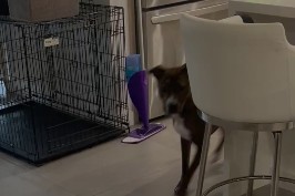 Video 10